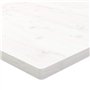 vidaXL Dessus de Table, Plateau Carré de Bureau, Dessus de Table de Remplacement Maison Restaurant, Blanc 70x70x2,5 cm Bois de P