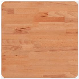 vidaXL Dessus de Table 40x40x2