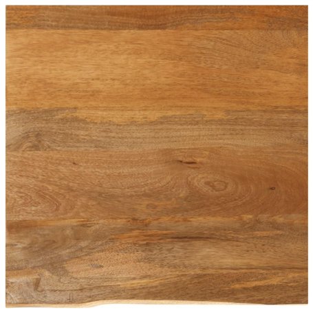 vidaXL Dessus de Table à Bord Vivant 40x40x2