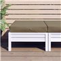 Coussin de Chaise