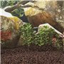 Décoration pour Aquarium