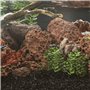 Décoration pour Aquarium