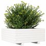 boîte à Plantes