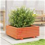 boîte à Plantes