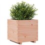 5 cm Bois Massif de Douglas