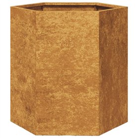 vidaXL Jardinière hexagone 46x40x45 cm Acier résistant aux intempéries