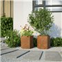 vidaXL Jardinières 2 pcs hexagone 46x40x45 cm Acier résistant aux intempéries, jardinière de Fleurs, jardinière de Patio, jardin
