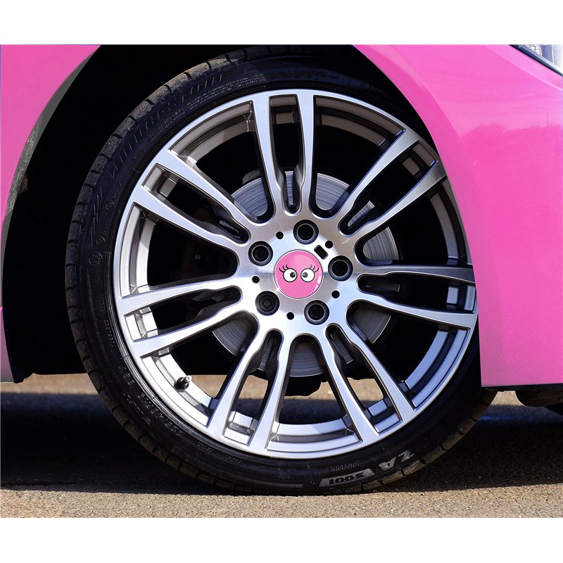 Image secondaire de Biomar Labs® 4 x 60mm Autocollant 3D Silicone pour Cache-Moyeu Enjoliveurs Centre de Roue Caches Emblème Cils Roses A 1760