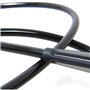 FCS 6 COMP Essential Leash 2022 Black