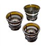 Extracteur de Jus BioChef Atlas Whole Slow Juicer - Noir