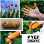 Outils Jardinage pour Carré Potager et Jardin (Lot de 2) - Outillage de Jardin pour Couper les Legumes, Cisaille a Gazon - Acces