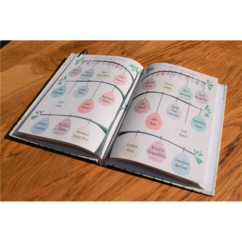 Image secondaire de Raconte-Moi Maman, Journal de grossesse et de naissance 2 en 1