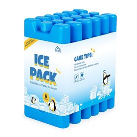 Anstore Lot de 6 Pains de Glace Blocs Réfrigérants de 16 x 9 x 2 cm/210 ML