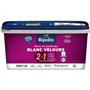 Mur & plafond 2 en 1 blanc velours - RIPOLIN - 2