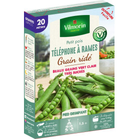 Vilmorin Pois Téléphone a rames Boite série 20m