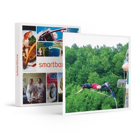 Smartbox - Coffret Cadeau - Saut à l'élastique de 45 mètres au viaduc Saint-Georges-Le-Gaultier - idée Cadeau Originale
