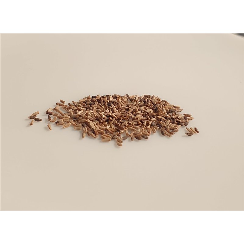 Image secondaire de 250 graines à semer - Le Grenier d'Abondance - CHICOREE FRISEE Grosse Pommant Seule - Cichorium