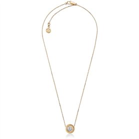 Collier Femme Michael Kors MKJ5340710