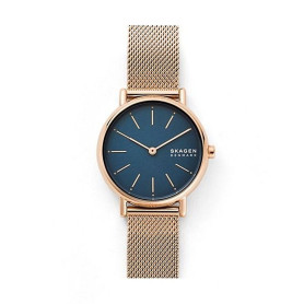 Montre Homme Skagen SKW2837