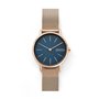 Montre Homme Skagen SKW2837