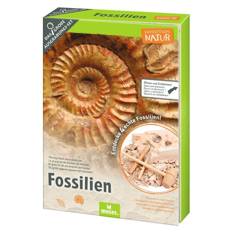 moses. Expedition Nature - Kit de fouilles de fossiles - Bloc de plâtre avec 5 fossiles Authentiques - Kit d'excavation avec Out