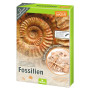 moses. Expedition Nature - Kit de fouilles de fossiles - Bloc de plâtre avec 5 fossiles Authentiques - Kit d'excavation avec Out