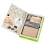 moses. Expedition Nature - Kit de fouilles de fossiles - Bloc de plâtre avec 5 fossiles Authentiques - Kit d'excavation avec Out