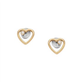 Boucles d´oreilles Femme Skagen SKJB1008710