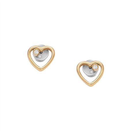 Boucles d´oreilles Femme Skagen SKJB1008710
