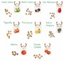 Kit de graines de tomates: lot de 8 variétés de semences de tomate pour le jardin et le potager intérieur - Variétés aromatiques