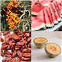 Ensemble de semences de fruits : graines potager de fruits de première qualité avec 8 variétés de plantes fruitières pour le jar