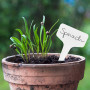 Étiquettes à piquer : Premium Plant Plug en plastique avec 120x étiquettes à piquer et stylo - Jolies étiquettes à piquer résist