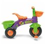 Tricycle The Paw Patrol Dinorider