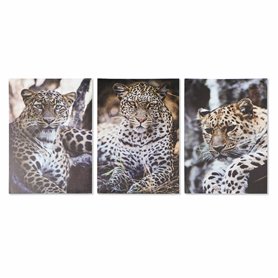 Cadre DKD Home Decor Léopard Colonial (50 x 1