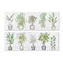 Cadre DKD Home Decor Plante (90 x 2
