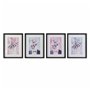 Cadre DKD Home Decor Chats (35 x 2