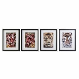 Cadre DKD Home Decor Colonial Jungle (35 x 2