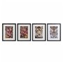 Cadre DKD Home Decor Colonial Jungle (35 x 2