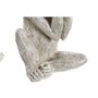 5 x 11 x 19 cm) (3 Unités)