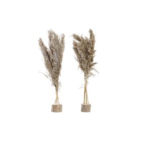Plante décorative DKD Home Decor Plumes PVC Fibre (35 x 25 x 55 cm) (2 Unités)