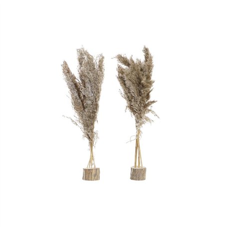 Plante décorative DKD Home Decor Plumes PVC Fibre (35 x 25 x 55 cm) (2 Unités)