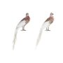 Décorations de Noël DKD Home Decor Polyester Oiseau (20 x 9 x 46 cm) (2 Unités)