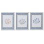Cadre Home ESPRIT Bleu Crème 30 x 3 x 40 cm (3 Unités)