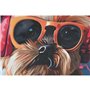 Cadre Home ESPRIT Moderne Chien 50 x 3,5 x 50 cm (2 Unités)