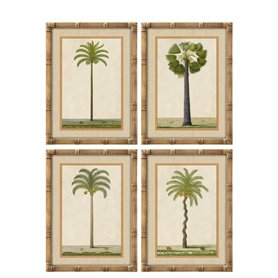 Cadre Home ESPRIT Vert Naturel Palmiers Tropical 45 x 2