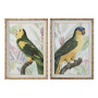 Cadre Home ESPRIT Jaune Vert Perroquet Tropical 50 x 2