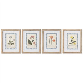 Cadre Home ESPRIT Shabby Chic Plantes botaniques 40 x 2