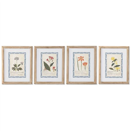Cadre Home ESPRIT Shabby Chic Plantes botaniques 40 x 2