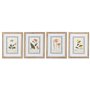 Cadre Home ESPRIT Shabby Chic Plantes botaniques 40 x 2