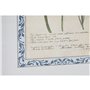 Cadre Home ESPRIT Shabby Chic Plantes botaniques 40 x 2,5 x 50 cm (4 Unités)